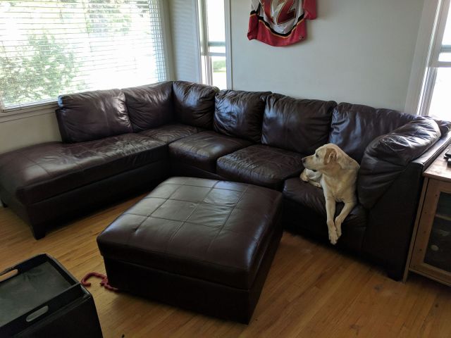 35687025_10156590607787806_4388536203675172864_o